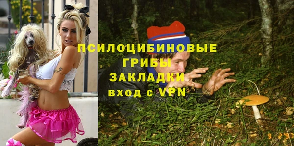ECSTASY Балабаново