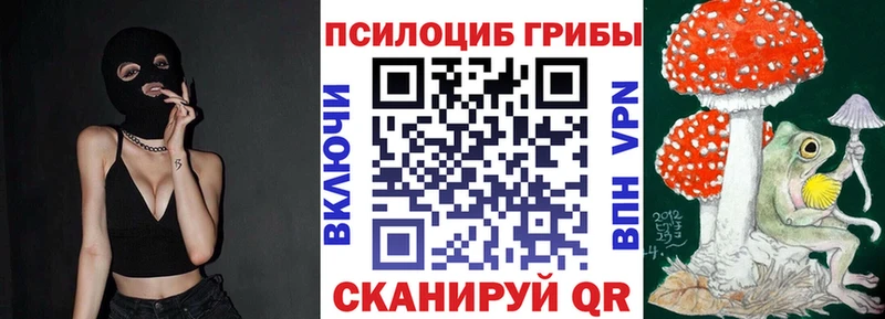 Псилоцибиновые грибы прущие грибы  Белая Холуница 